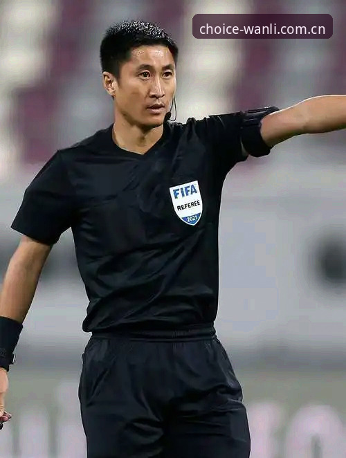 资深用户实测：马宁世界杯执裁背后的数据逻辑与心态算法